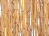 Bamboo Fence 500x30 cm 142681