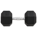 Dumbbell 27.5 kg Cast Iron 93611