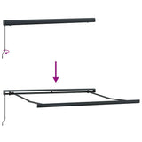 Manual Retractable Awning Burgundy 300x250 cm 3215318