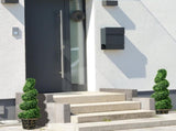Set of 2 Artificial Plants, Topiary Spiral Boxwood Trees with Pot, for Home Indoor Outdoor Decor, T3398P344376