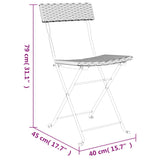 Folding Bistro Chair Set of 4 Black PE Rattan, Powder-Coated Steel 3152112