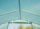 Polytunnel Greenhouse with Windows and Door, Walk in Greenhouse for Garden, Backyard T3398P310873