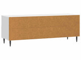 TV Cabinet High Gloss White 102 x 34.5 x 50 cm Engineered Wood 894449