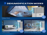 10L/Day 2000ML Portable Quiet Dehumidifier for Home Laundry Room Bedroom Basement, Electric Moisture T3398P378791