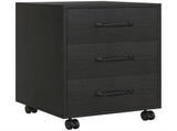 3 Drawer File Cabinet, Mobile Filing Cabinet on Wheels for Home Office, Study, Black T3398P343025