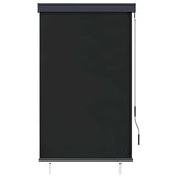 Outdoor Roller Blind 100x250 cm Anthracite 145958