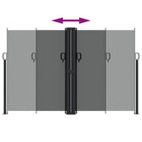 Retractable Side Awning Anthracite 160x1000 cm 4004733