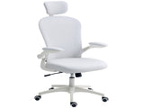 Multi-Adjustable Office Chair, with Lumbar Support, Headrest and Mesh Back - White T3398P377442