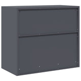 Storage Cabinet Anthracite 80 x 40 x 70 cm Steel 891678