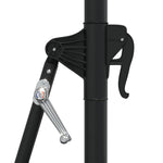 Wall-mounted Garden Parasol with LEDs 300 cm Black 312528