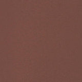 Patio Retractable Side Awning 160x300 cm Brown 317885