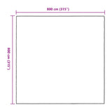 Plant Cover Transparent 8 x 8 m PE 3429329