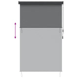 Roller Blind Light Grey 120 x 250 cm Fabric and Aluminum 42037184