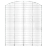 Arched Gabion Basket 200x30x220/240 cm Galvanised Iron 153471