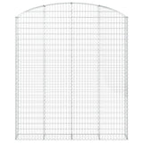 Arched Gabion Basket 200x30x220/240 cm Galvanised Iron 153471