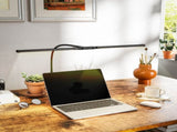 Desk Lamp 47876114