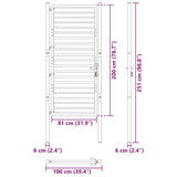 Garden Gate Lockable Black 100x200 cm Aluminium 42004150