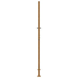 Garden Gate 100x200 cm Weathering Steel Flame Design 4100998