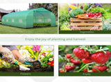 Polytunnel Greenhouse with Windows and Door, Walk in Greenhouse for Garden, Backyard T3398P377682
