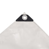 43838 Tarpaulin 650 g/m 2x3 m White