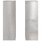 Plant Stand 2 pcs Silver 24 x 24 x 75 cm Stainless steel 865824