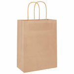 ZNTS Paper Bags 250 pcs with Handles Brown 21x11x28 cm 4101587