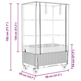 Raised Bed with Cover and Wheels Rattan Look 80x50x182 cm 4015850