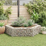 ZNTS Hexagonal Gabion Raised Bed 200x173x40 cm 142536