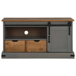 TV Cabinet HALDEN with Sliding Door Grey 110x40x60 cm Solid Wood 4018411