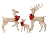 3-Piece Lighted Christmas Reindeer Set Outdoor Decorations, Weather Proof Sparkling Deer 82158509