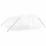 Greenhouse with Steel Frame White 30 m 6x5x2.3 m 3188095