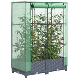 ZNTS Raised Bed with Greenhouse Cover Rattan Look 80x40x123 cm 4015824