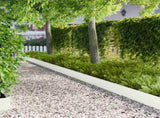 Lawn Edging 30 pcs 102 x 15 x 4 cm Steel White 8008768