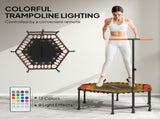 Exercise Trampoline 27714149