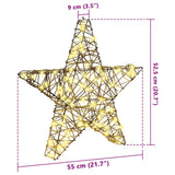 3D Star 50 LEDs Warm white 55 x 52.5 x 9 cm Rattan 42019104