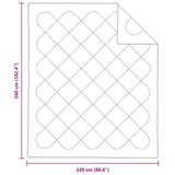 Winter Duvet White 260 x 220 x 3 cm Polyester 42007779
