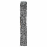 Chain Link Fence Galvanised 2 x 20 m Glass 42033073