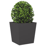 Garden Planters Black 2 pcs 50x50x50 cm Steel 851067