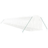 Greenhouse with Steel Frame White 40 m 20x2x2 m 3188036