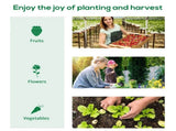 Mini Greenhouse 27625630