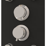 Shower Panel Unit Glass 25x47.5x130 cm Black 151420