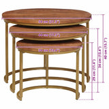 Nesting Coffee Tables 3 pcs Solid Mango Wood and Steel 4104641