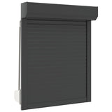 ZNTS Roller Shutter Aluminium 80x100 cm Anthracite 144977