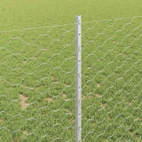 Welded Wire Fence 10 x 1 m Hot-Dip Galvanised Steel 3336965