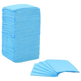 Pet Training Pads 400 pcs 60x60 cm Non Woven Fabric 170762
