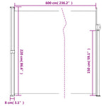 ZNTS Retractable Side Awning Taupe 220x600 cm 4004574