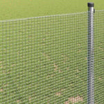 Welded Wire Fence Silver 0.6 x 100 m Steel 42004989