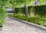 Lawn Edging 20 pcs 103 x 25 cm Steel Silver 8008709