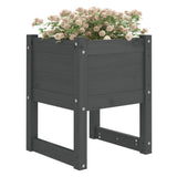 Planters 2 pcs Grey 40x40x52.5 cm Solid Wood Pine 822112