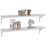 Wall Shelves 2 pcs 100x23.5 cm Silver Stainless Steel 30280
